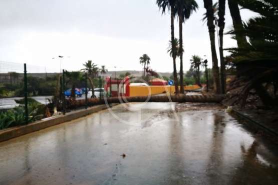 Efectos en Telde de las copiosas lluvias caídas durante la madrugada y mañana de este jueves (Foto TA)